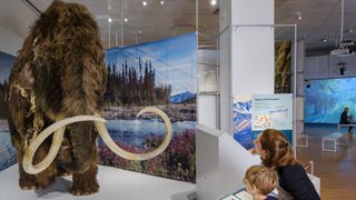 A woman and child look at the full-size model of a woolly mammoth with curly tusks at a museum exhibit.