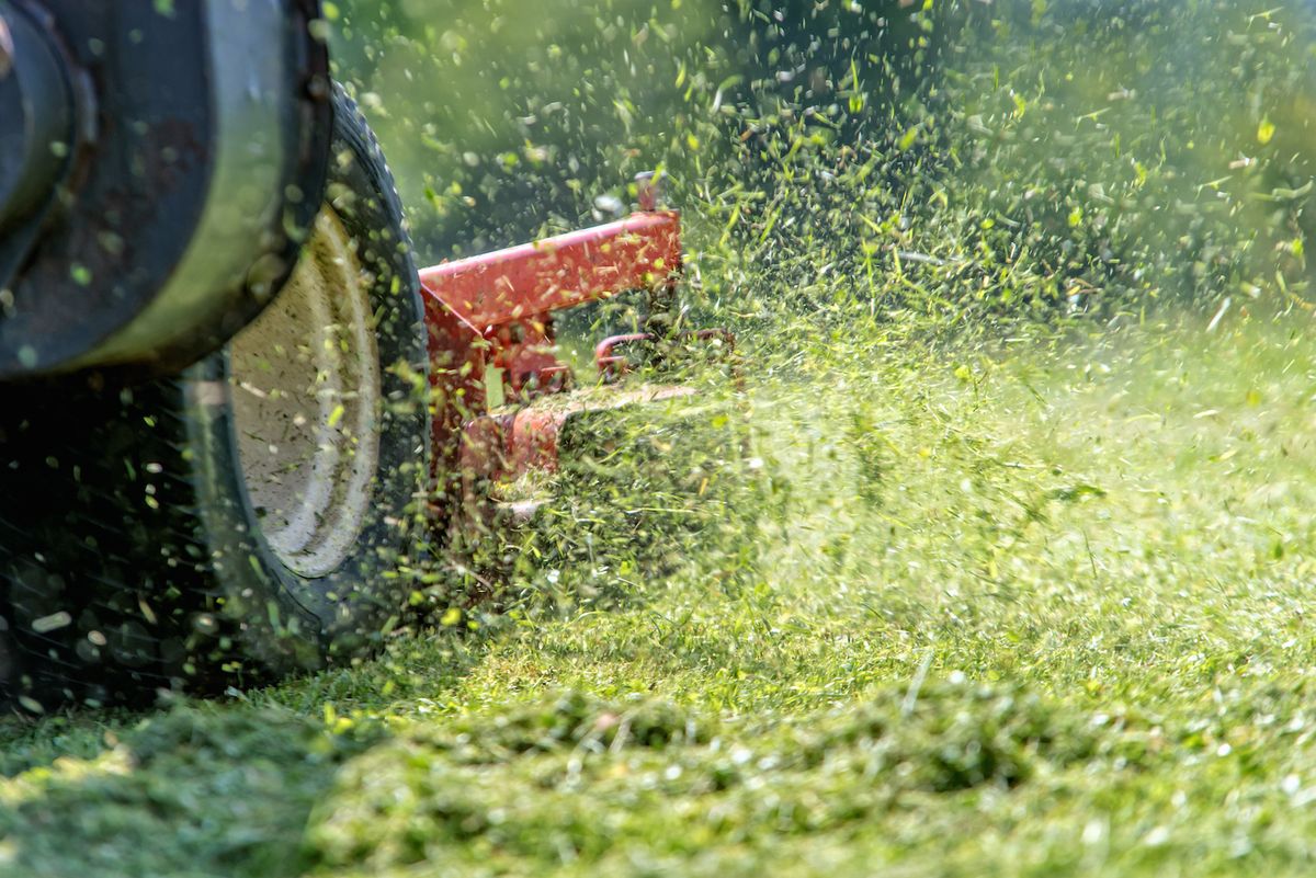 Lawn mower cutting grass