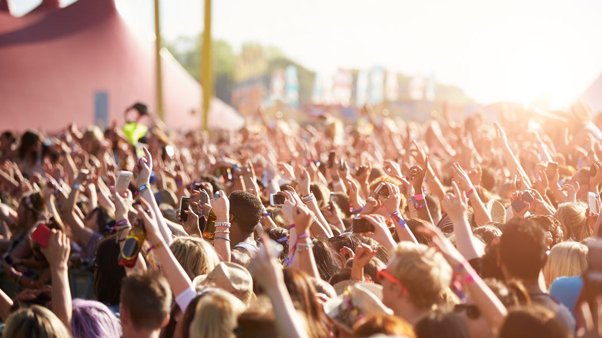 A group of people at a music festival