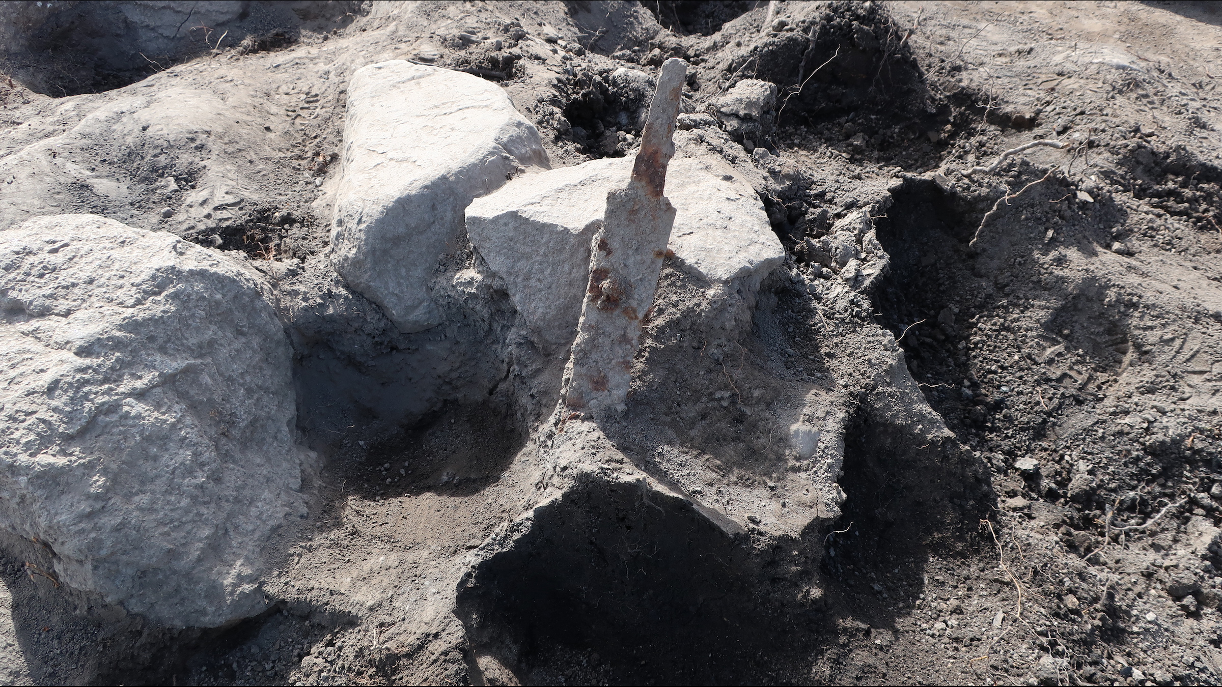 One of the swords that stood upright in the grave before it was fully excavated.