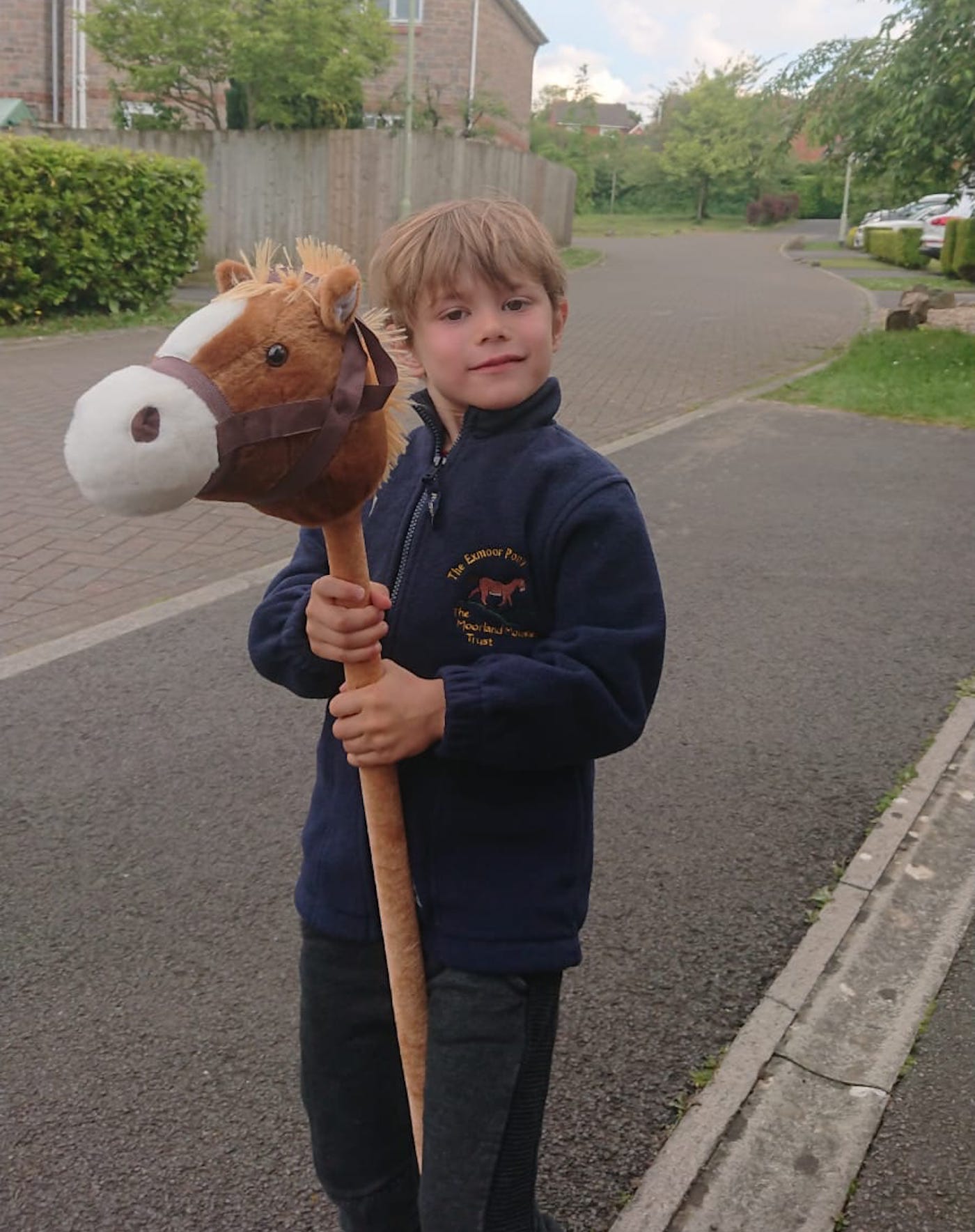Jakson and his hobby horse[1] copy