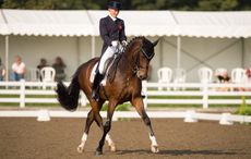 GRIFFITH_INTERII-BDNAT2014-JS11354.jpg