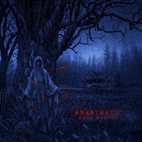 Mark Morton: Anesthetic