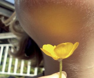According to children's lore, the yellow glow reflected by a buttercup when placed under a chin indicates that the owner of the chin likes butter. Now researchers understand why the flowers produce this yellow glow.