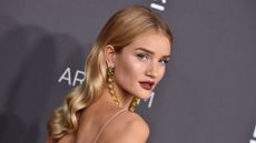 LOS ANGELES, CA - OCTOBER 29: Model Rosie Huntington-Whiteley attends the 2016 LACMA Art + Film Gala honoring Robert Irwin and Kathryn Bigelow presented by Gucci at LACMA on October 29, 2016 in Los Angeles, California. (Photo by Axelle/Bauer-Griffin/FilmMagic)