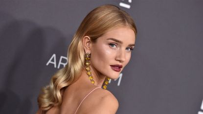 LOS ANGELES, CA - OCTOBER 29: Model Rosie Huntington-Whiteley attends the 2016 LACMA Art + Film Gala honoring Robert Irwin and Kathryn Bigelow presented by Gucci at LACMA on October 29, 2016 in Los Angeles, California. (Photo by Axelle/Bauer-Griffin/FilmMagic)