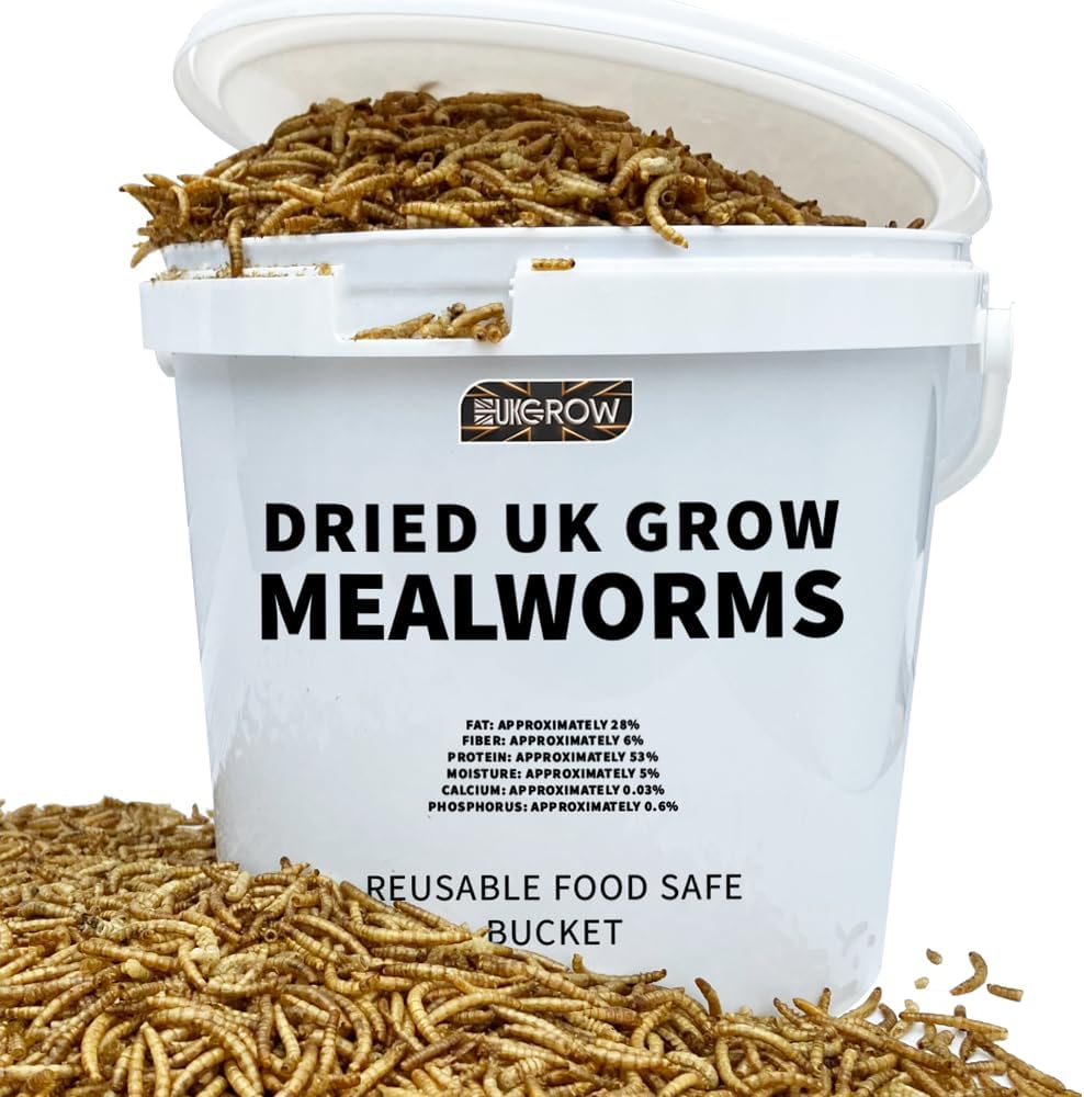 Premium Dried Mealworms in 5l, 10l, and 20l Buckets - High Protein Bird Feed for Wild and Garden Birds - Natural and Nutritious Bird Food (5 Litre)
