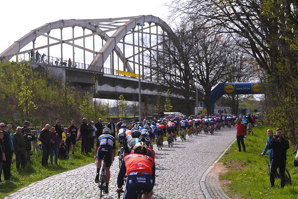 The Scheldeprijs peloton in action