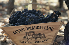 Ch&acirc;teau Ducru-Beaucaillou