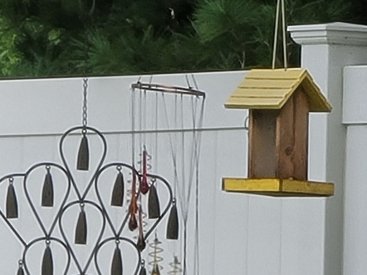 Samsung Galaxy Note 20 Ultra 50x zoom