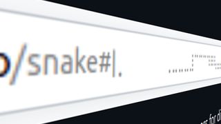 URL snake
