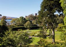 Views past the monkey puzzle tree and across the garden towards Loch Dunvegan. The gardens at Dunvegan Castle, Isle of Skye. ©Paul Highnam for Country Life