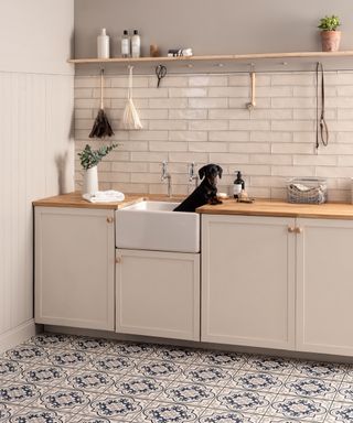 blue and white tiled floor in utility room with black daschund dog in sink
