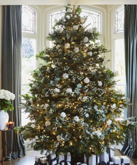 Traditional Fir Christmas tree, from £85 at FLOWERBX