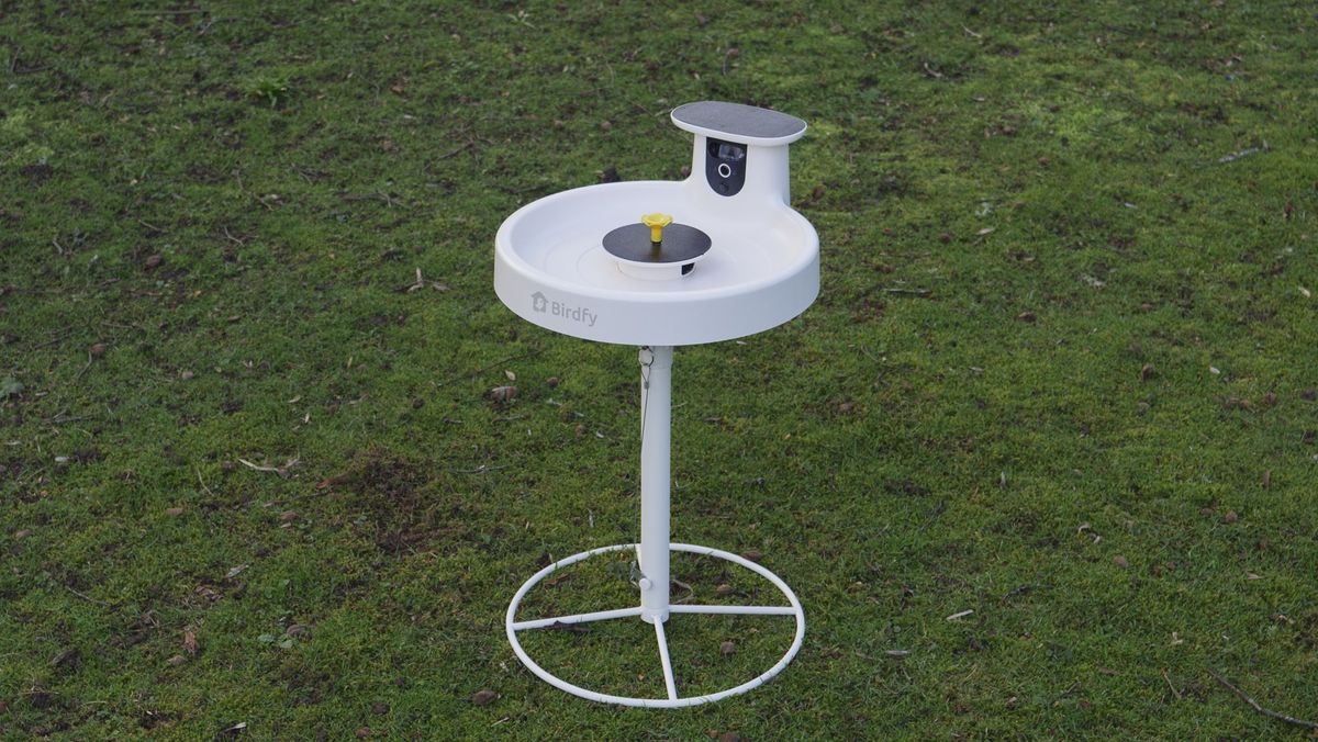 Birdfy Bird Bath Pro camera in a garden