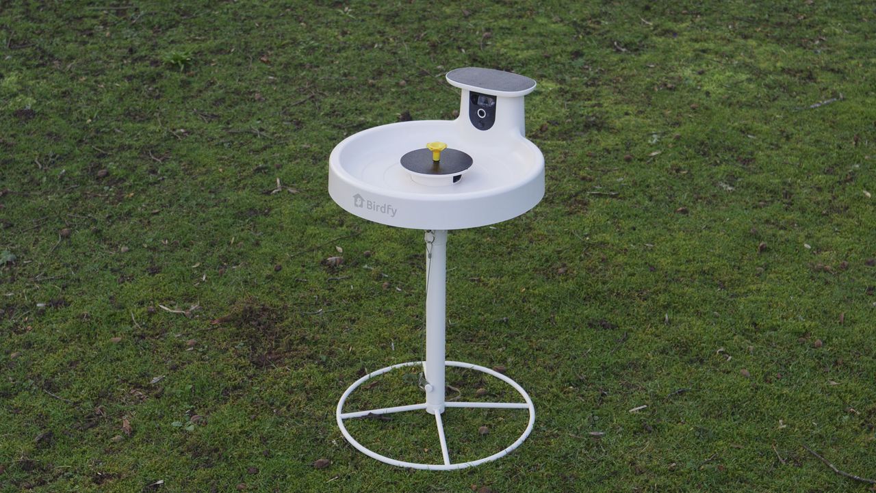 Birdfy Bird Bath Pro camera in a garden