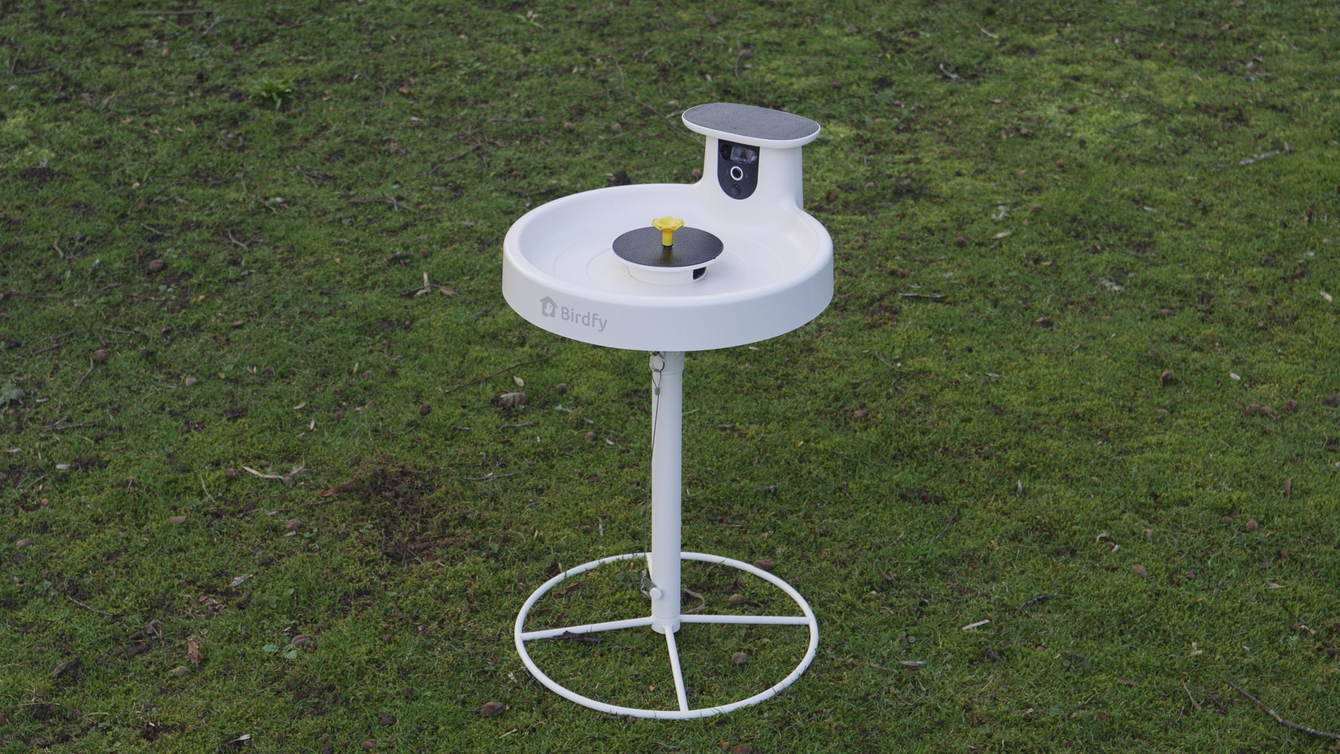 Birdfy Bird Bath Pro camera in a garden