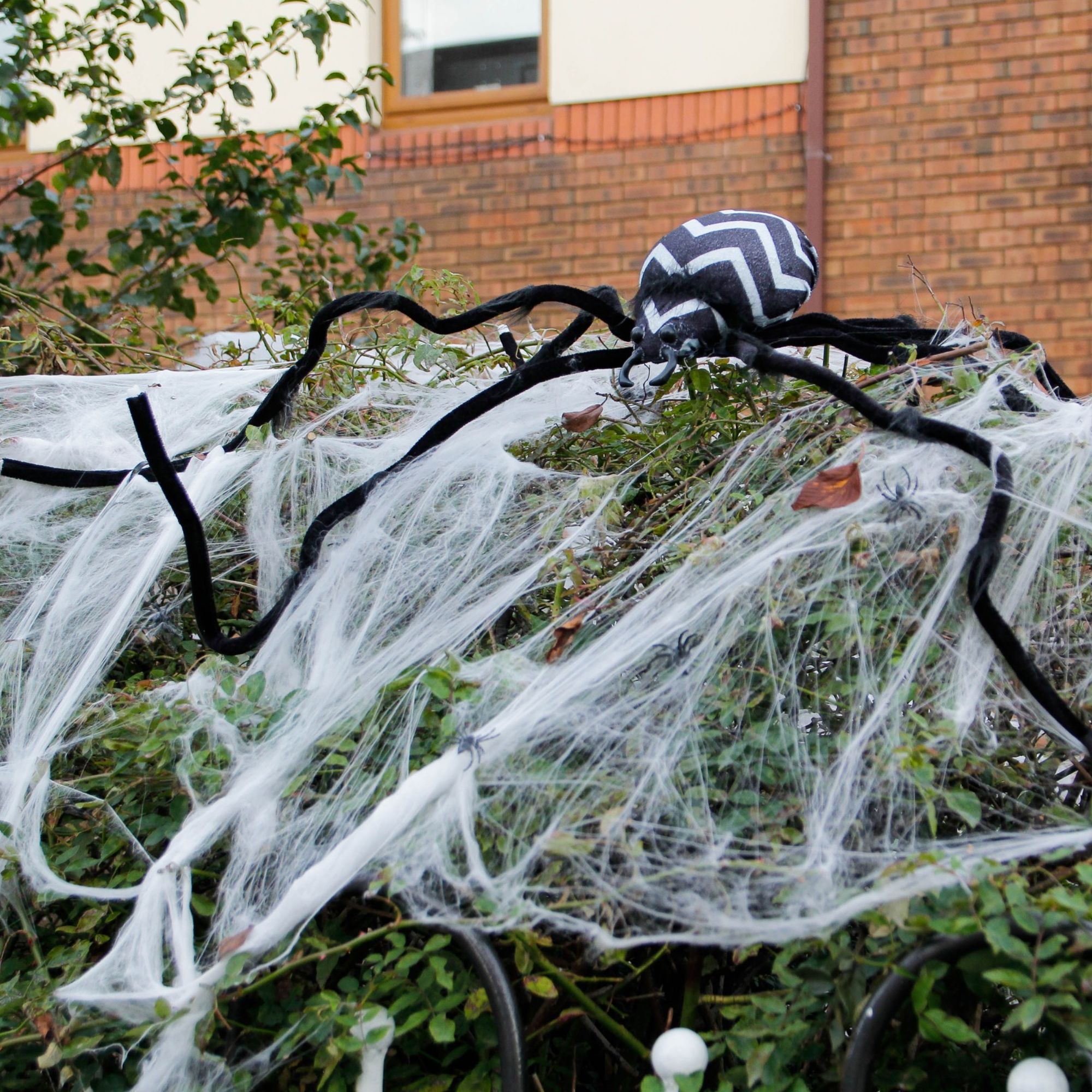Halloween spider web decoration on a bush