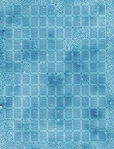 Atomic Memory Device