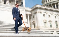 Rep. Dean Phillips, D-Minn., and his dog Henry walk down the House steps of the Capitol