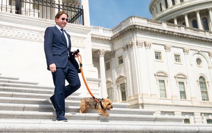 Rep. Dean Phillips, D-Minn., and his dog Henry walk down the House steps of the Capitol