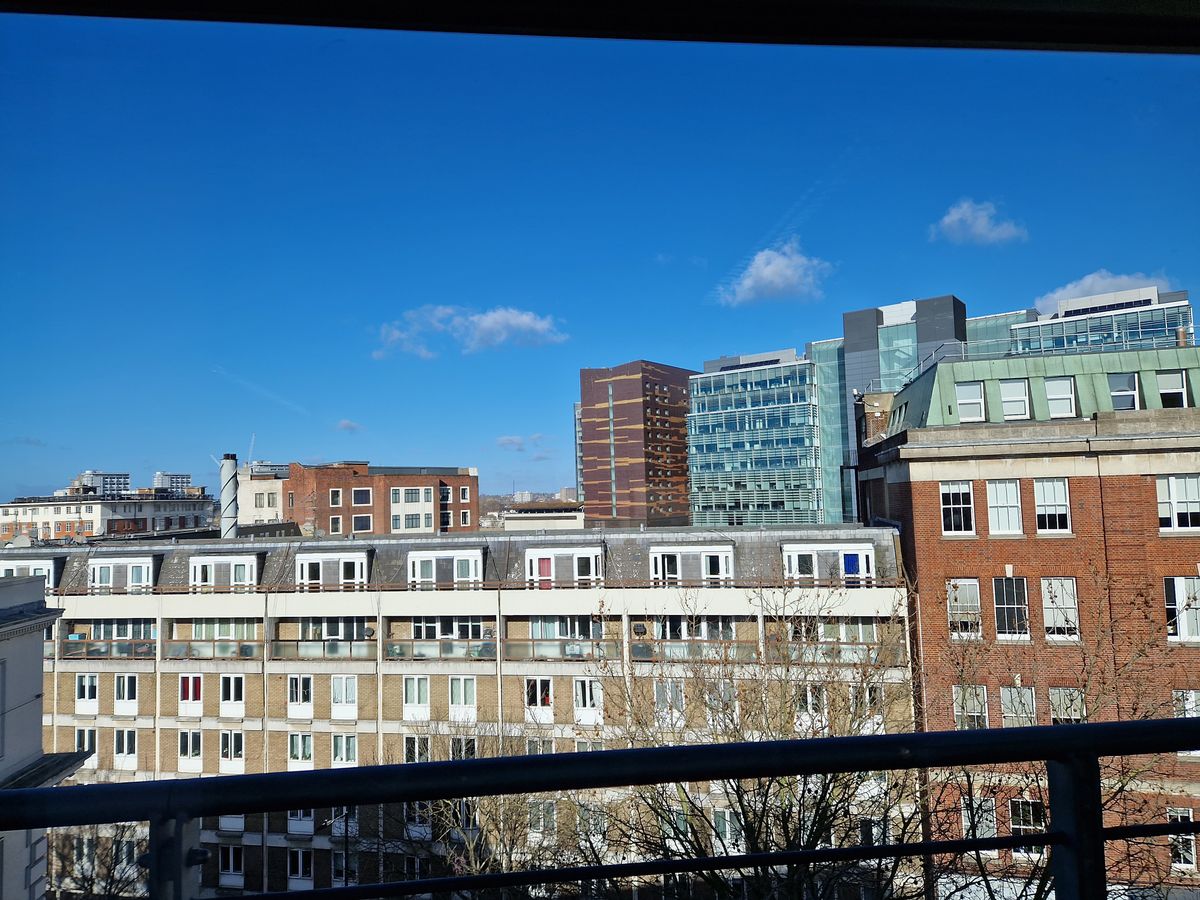 Samsung Galaxy S22 Plus camera sample