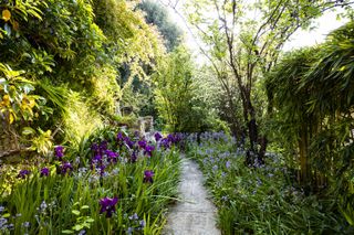 Le Clos du Peyronnet, France, the legendary English Riviera garden of William Waterfield