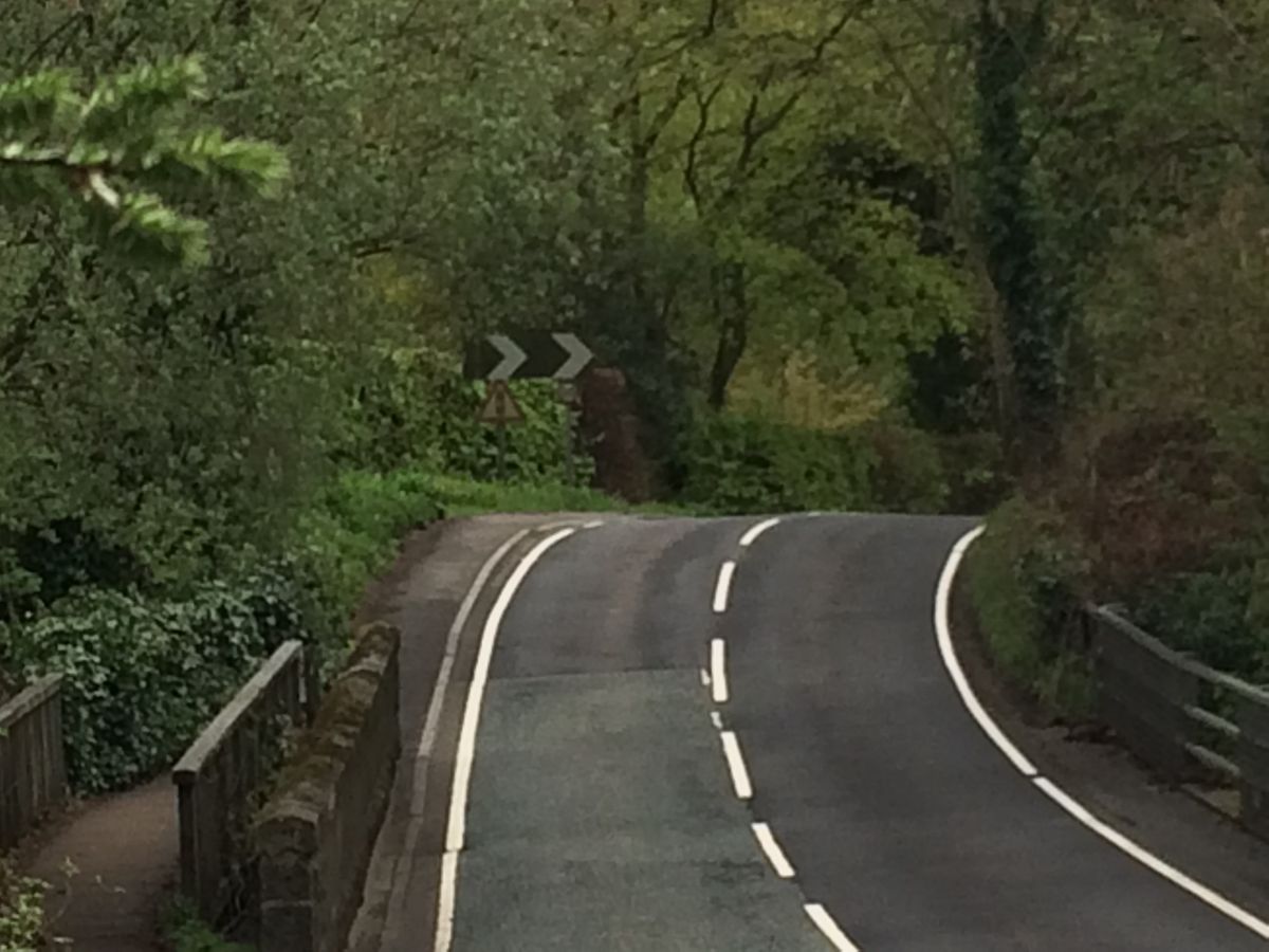 Fun little hump near foot of the descent to Cornwall Rd
