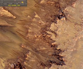 Warm-Season Flows on Slope in Newton Crater, Mars