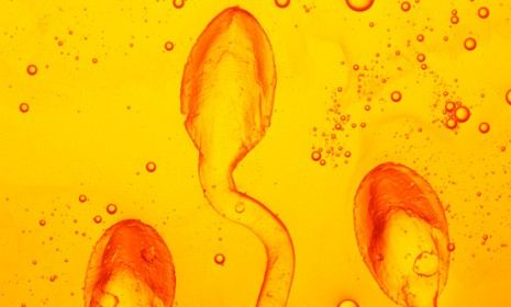 A mate&amp;#039;s sperm can reportedly trigger chemical feelings of affection and closeness in women. 