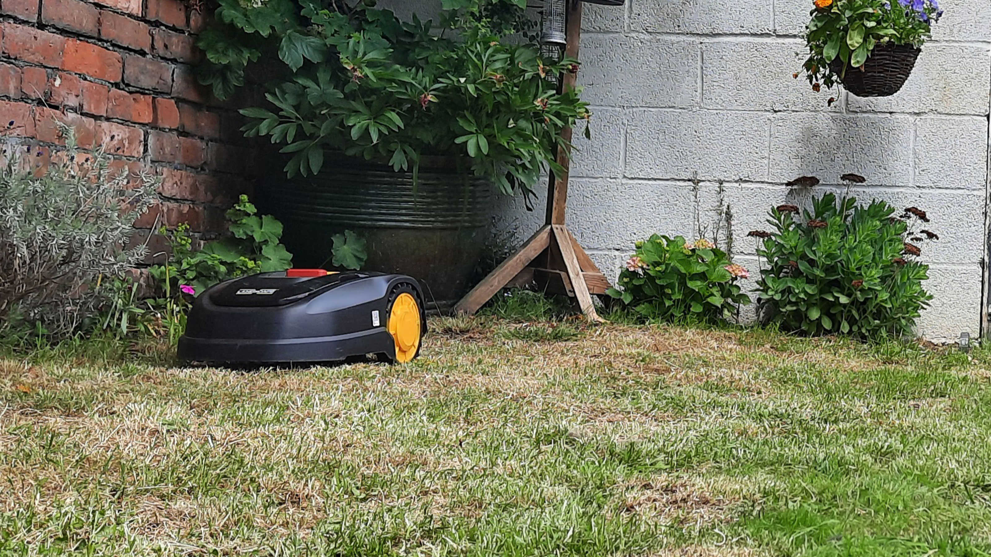 Landxcape LX796 robotic lawn mower review