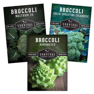 A set of three sachets of broccoli seeds