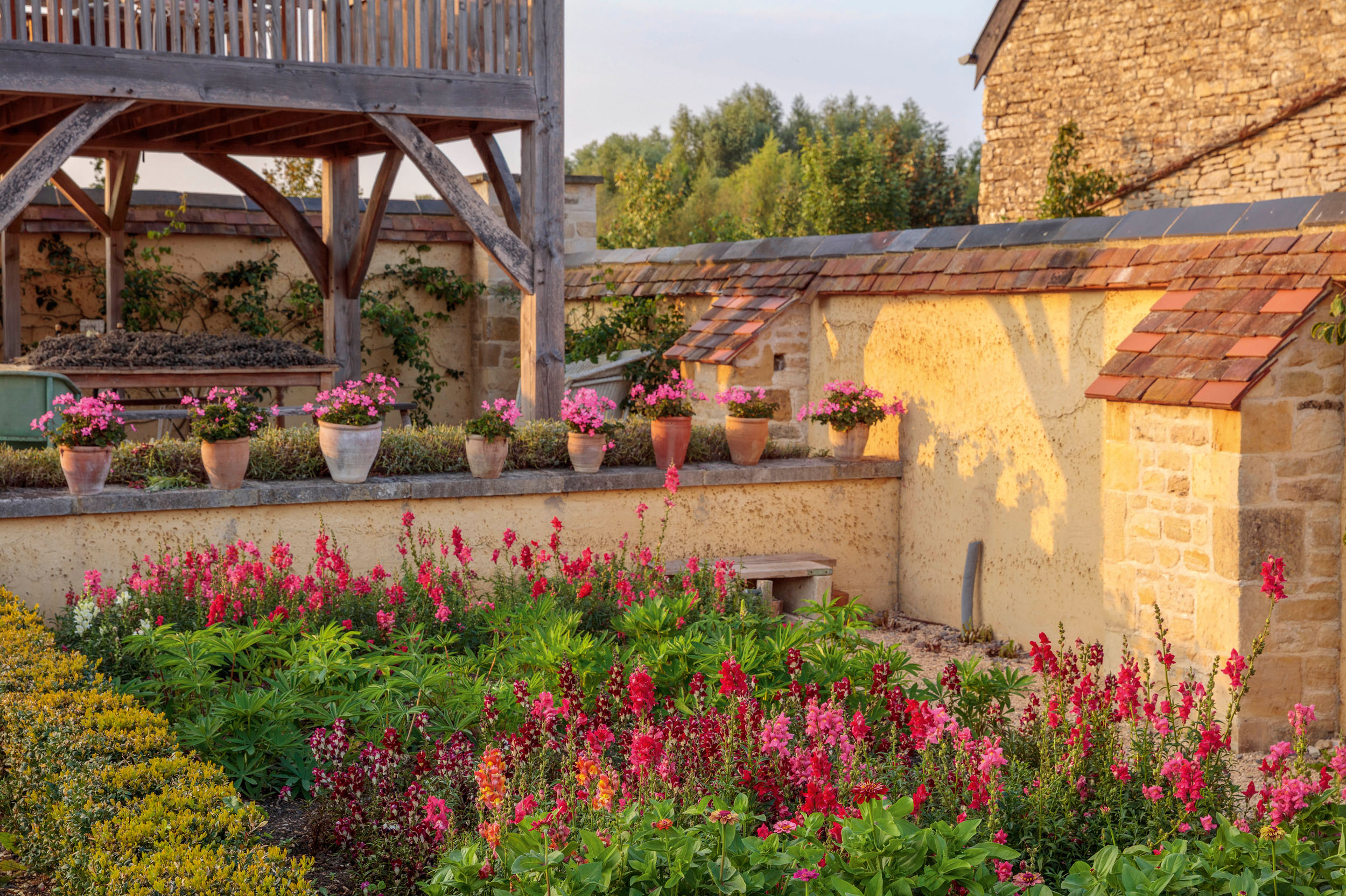 Ham Court's garden