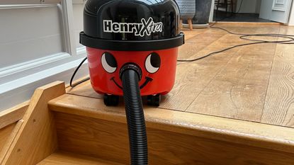 Henry Xtra during testing at home 