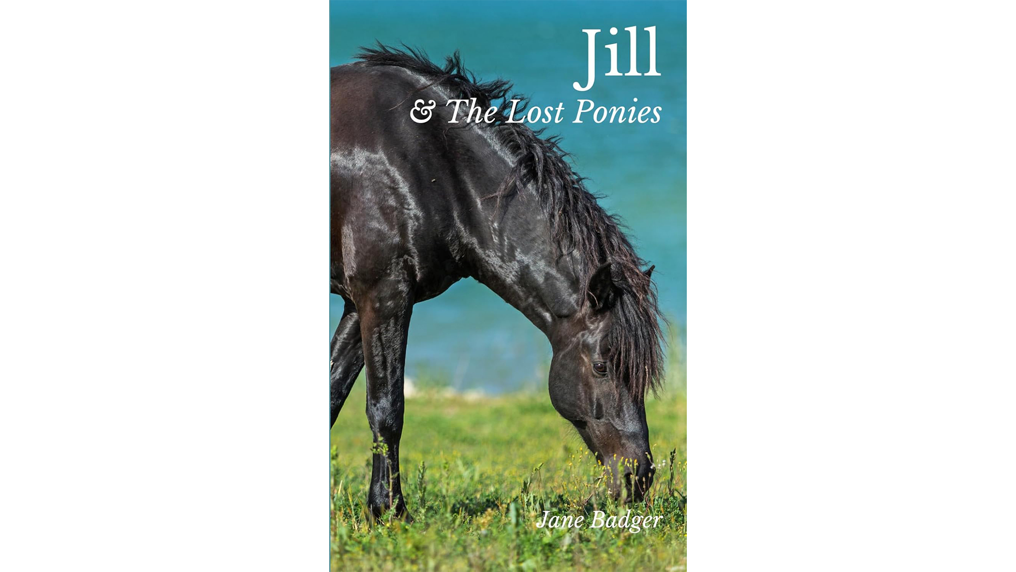 Jill &amp;amp; The Lost Ponies book