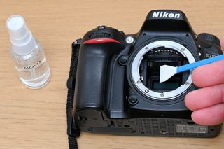 Nikon camera sensor being cleaned with a swab