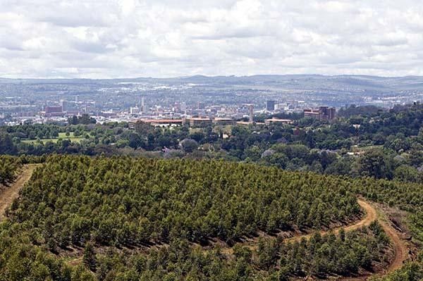 The highest section of the cross country World Cup course in Pietermartizburg