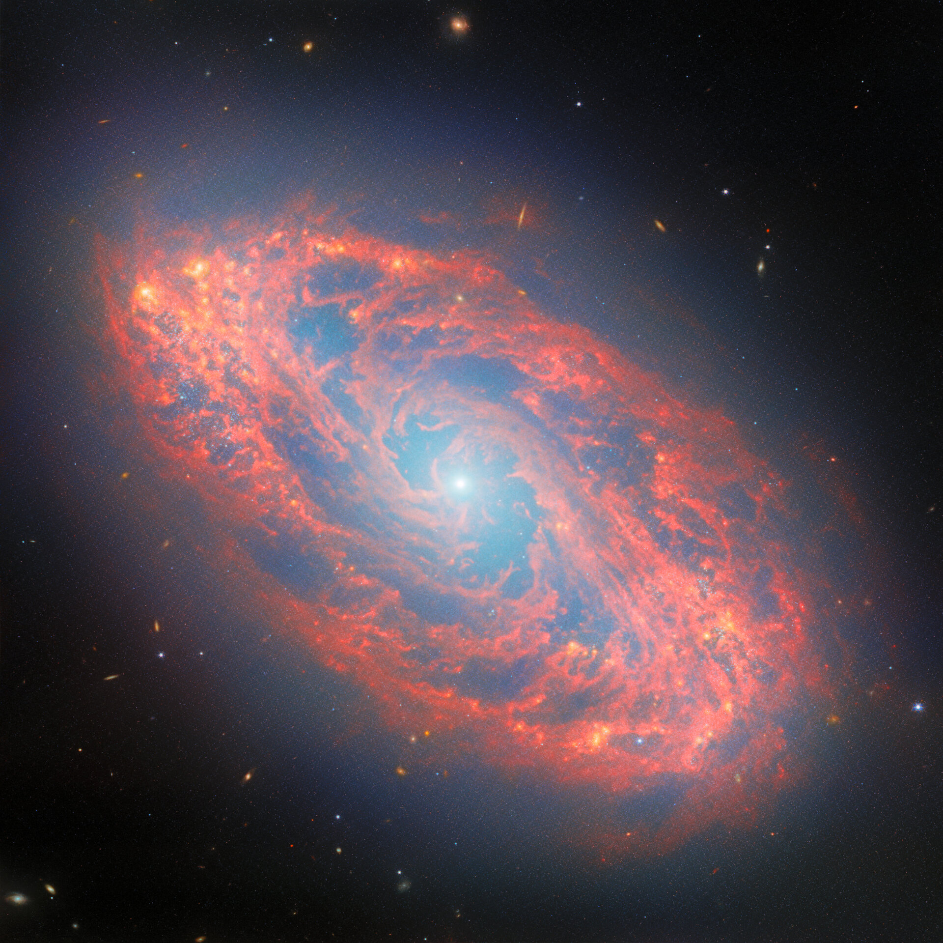 an impressive red spiral structure with a bright point of light in the center.