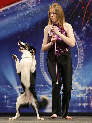 Gin the dancing dog went all the way to the final...