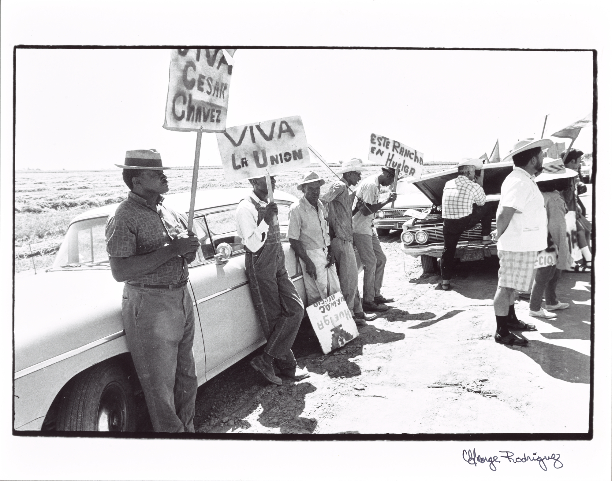 Black and white photograph of farm workers leaning against parked cars, holding hand-lettered picket signs reading "Viva Cesar Chavez" and "Viva La Union". (landscape)