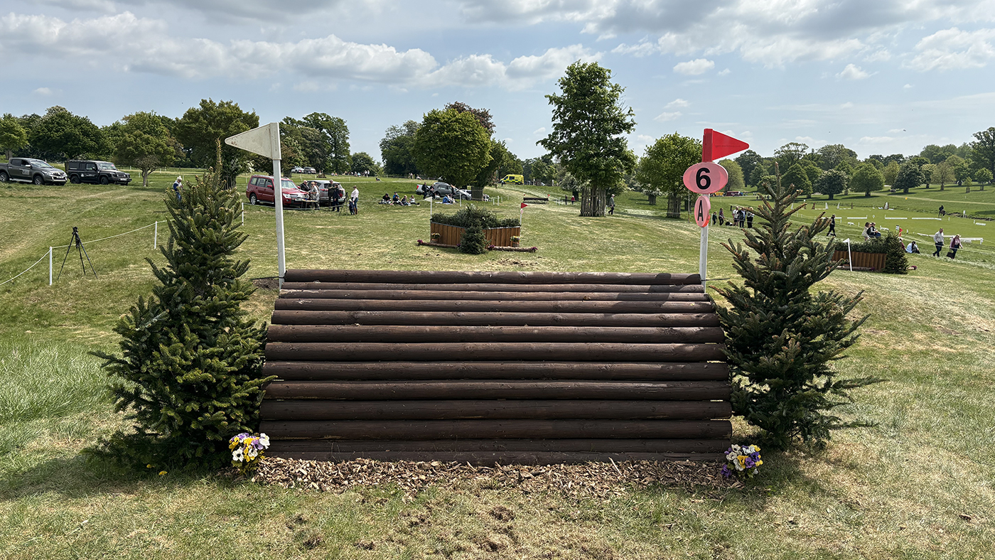 BE100 grassroots championships cross-country course: fence 6a