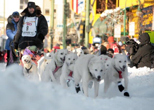 The Iditarod Race in 2007.