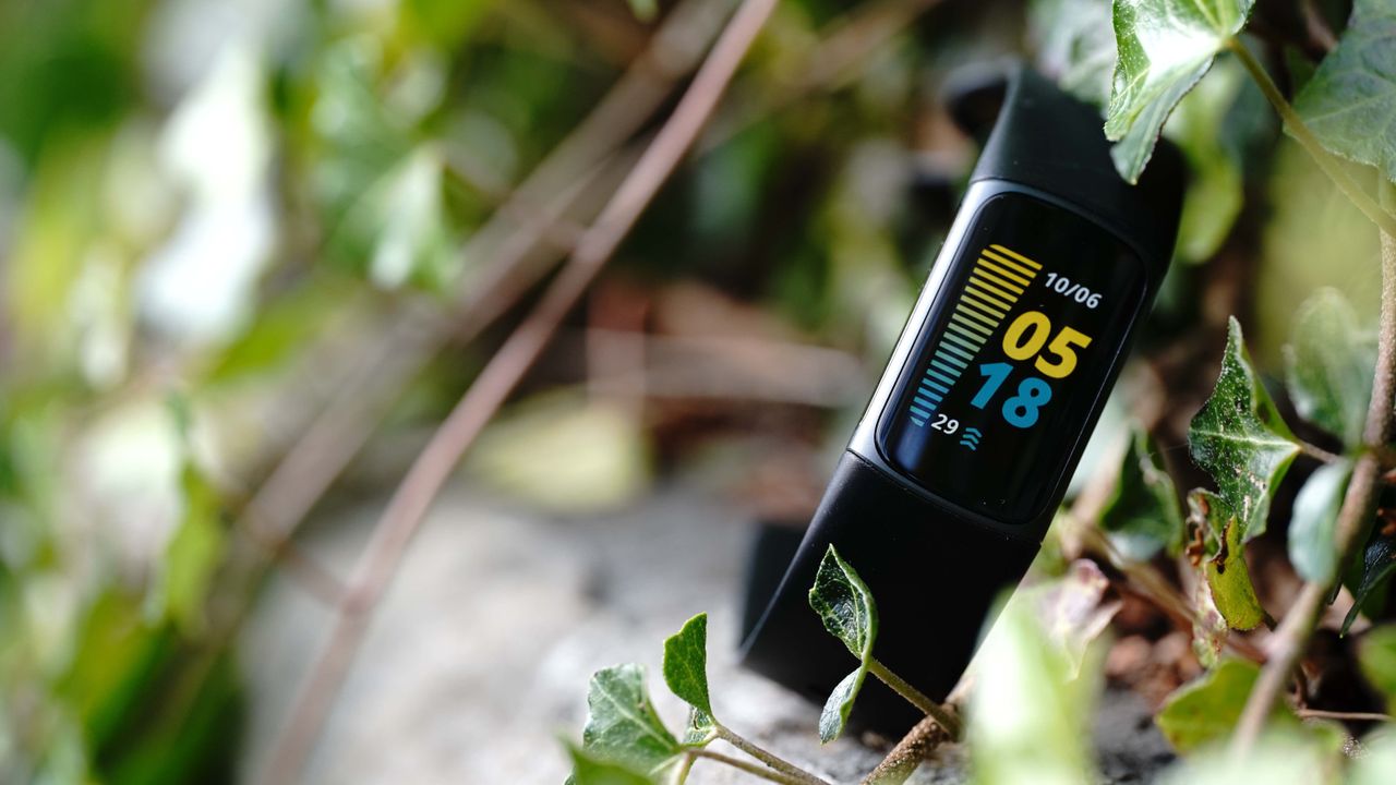 Best Fitbit 2024 get the best Fitbit for you T3