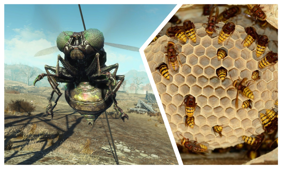 an image of a wasp from Fallout as well as an image of a wasp's nest 