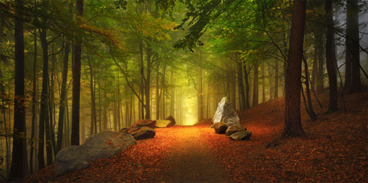 Autumn photography