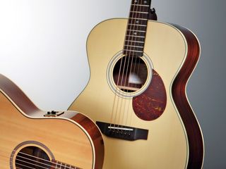 The Breedlove is an elegant-looking guitar.