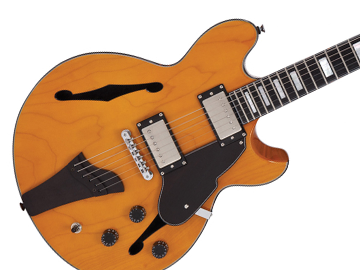 Fret King Black Label Elise 'JE'