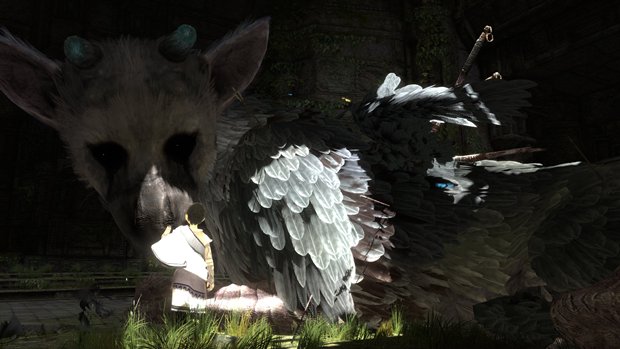 The Last Guardian is narrower than Shadow of the Colossus, less of a ...