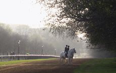 hyde park