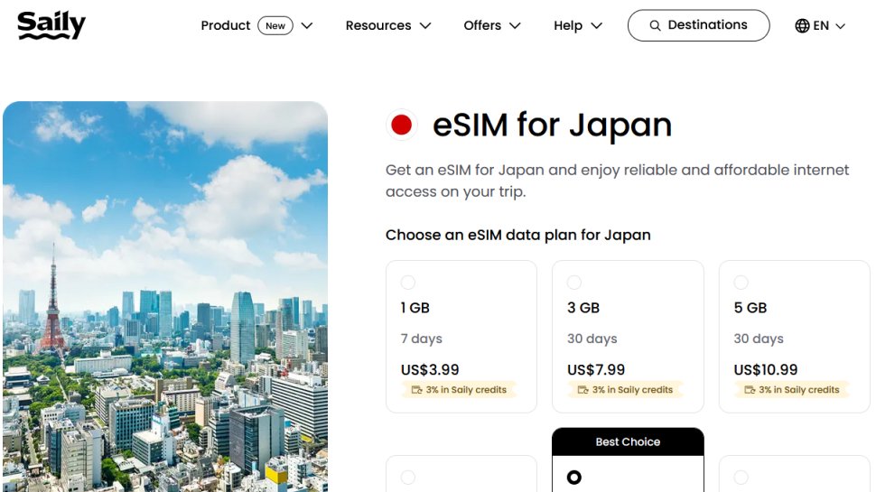 Saily website screenshot (November 2025).